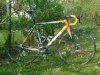 2009041305_Arin_Reflex.jpg