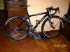 de rosa 003.jpg