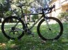 C59_11v_005 resize.jpg