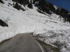 IMG_4884.jpg