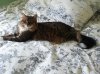20140314_150509.jpg