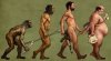 evoluzione.jpg