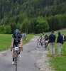 140601_malgaringia_arr3r.jpg