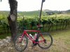 WP_20140628_11_15_02_Pro.jpg