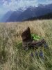 IMG-20140609-WA0003.jpg