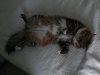 20140717_192934.jpg