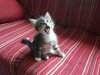 20130714_083200.jpg