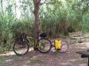 mtb.jpg