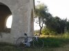 Specialized Tarmac.jpg