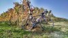 IMG_20141029_101547888_HDR_035.jpg