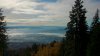 DSC_0217.jpg