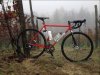 lemond vigna.jpg