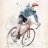 biciclettaro_novello