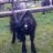 ildefonso660