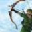 Link