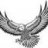 Raf.Falcon