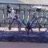 Ross_82