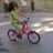 bicicleracer