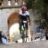 Riccardobike