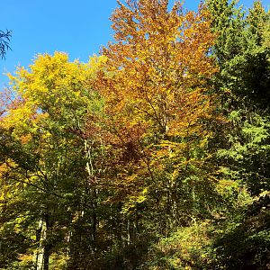 Autunno
