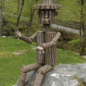 Pinocchio