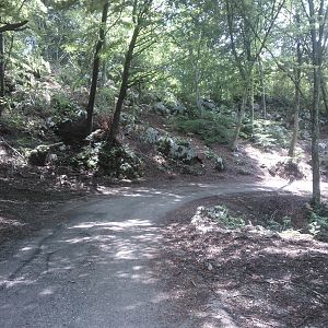 Salita dei Carbonai
