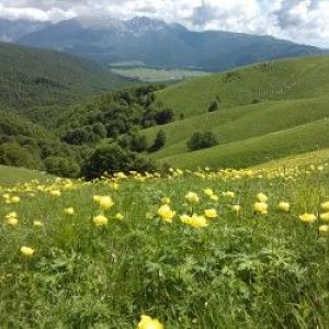 dove vorrei fermare il tempo