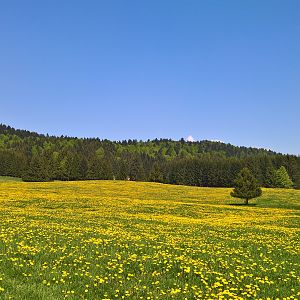 piana del Cansiglio