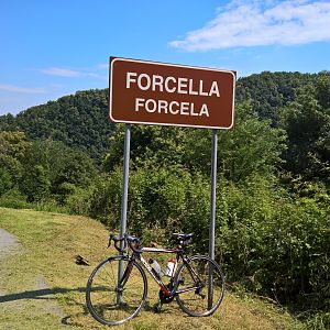 Forcella