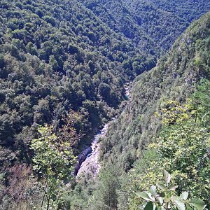 Veduta dal lago
