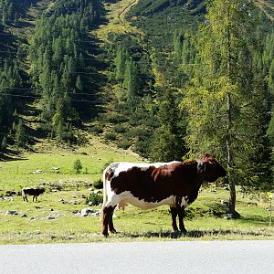 Giro Oeztaler al contrario 342km 6000mt