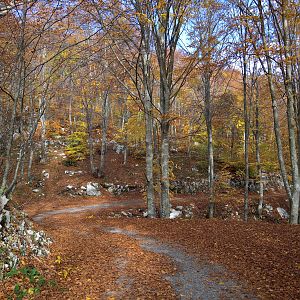 magia d'autunno