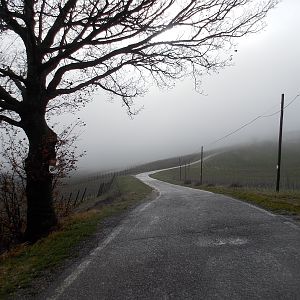 Solitario come il ciclista