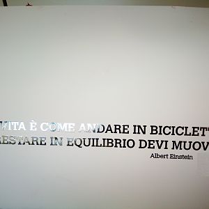 einstein diceva