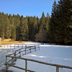 Cansiglio