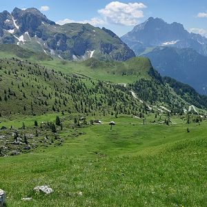 dal giau
