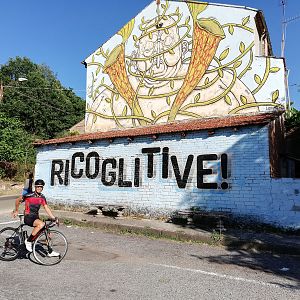 Ricoglitive