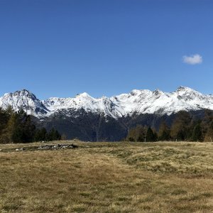 BD733CD7-02F9-47C2-B230-F456F0A24ED9.jpeg