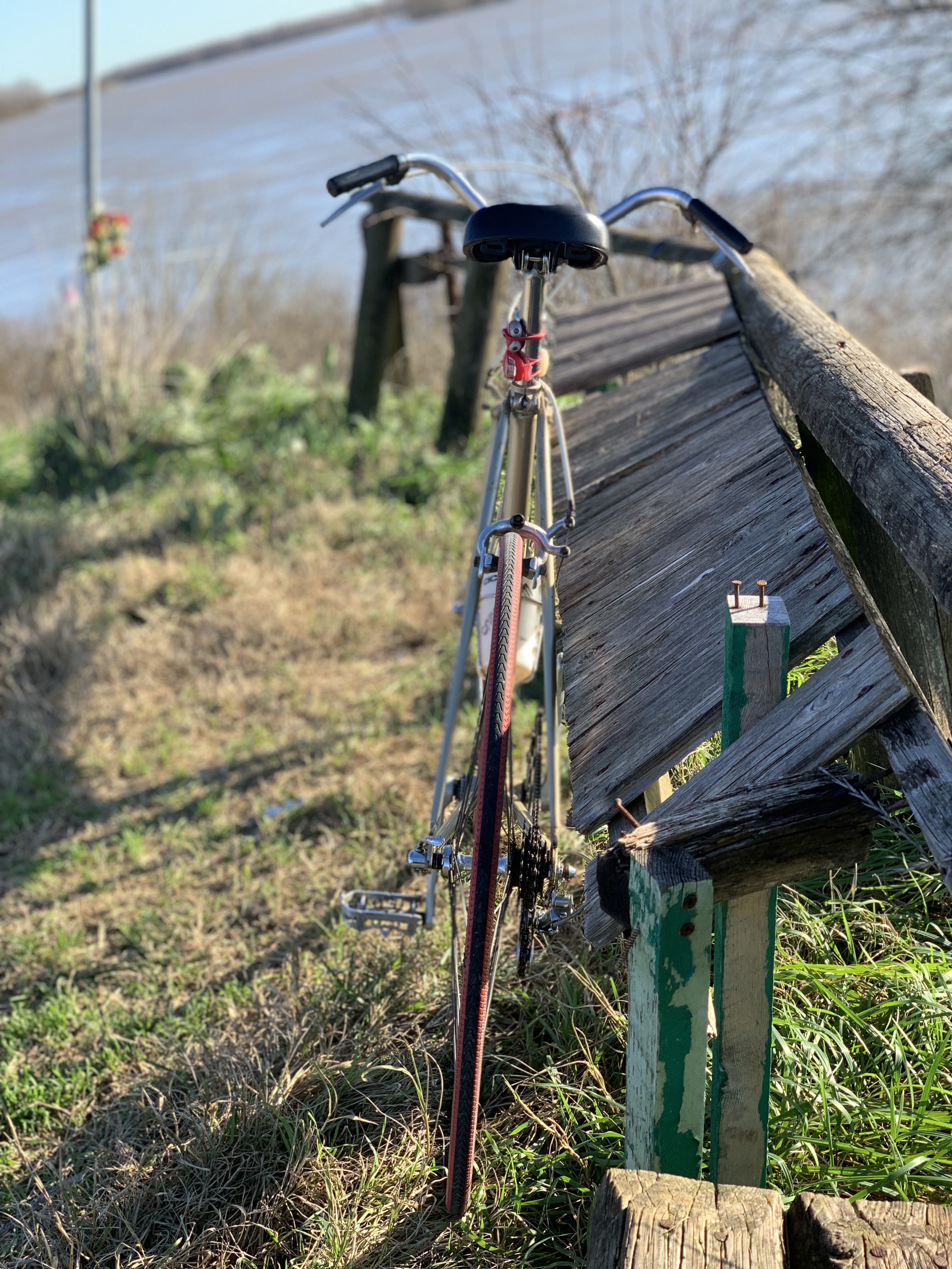 Cicli Cosmos, Città di San Donà di Piave, modello "Iseo" versione superleggera, foto 2.