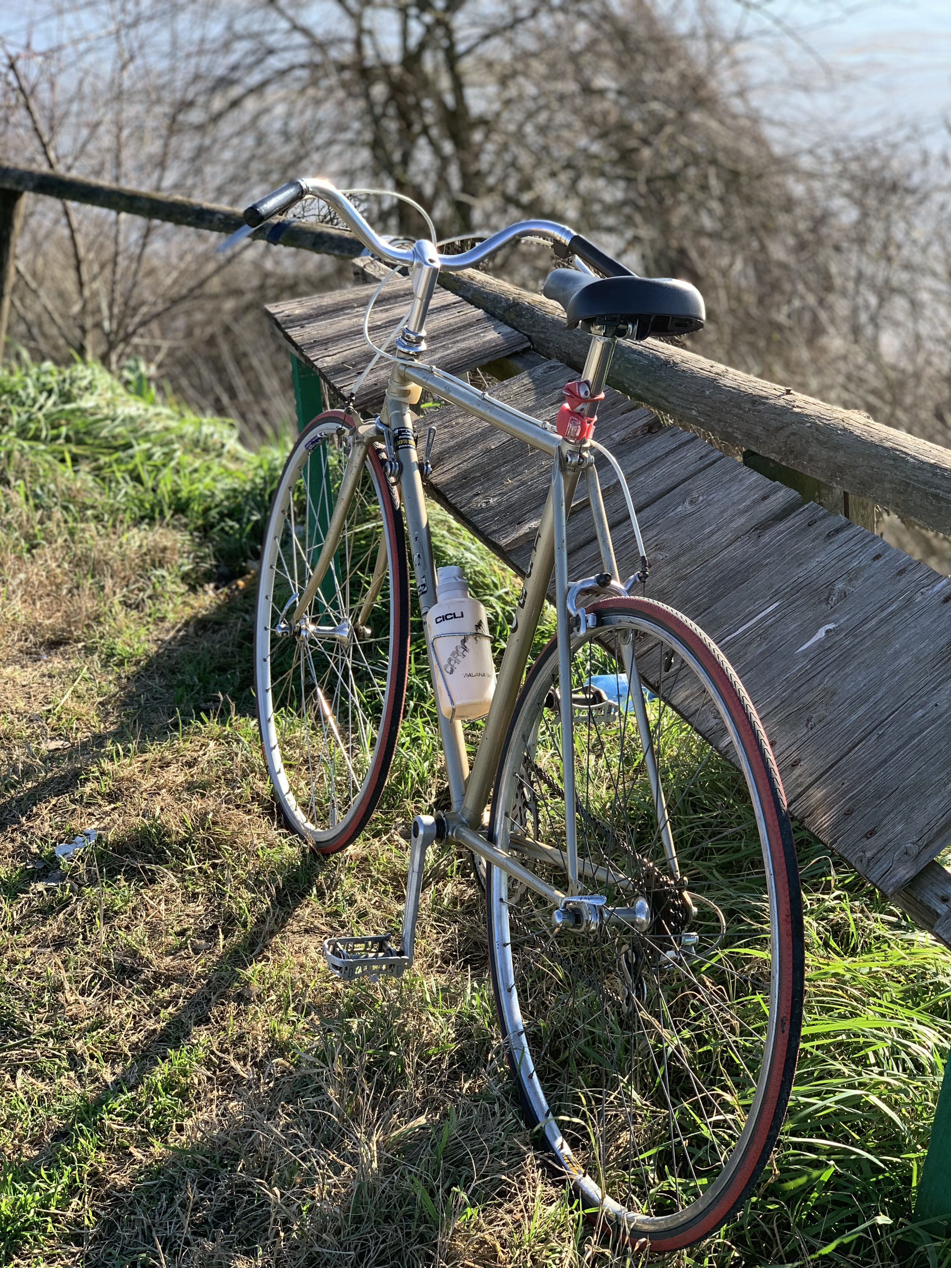 Cicli Cosmos, Città di San Donà di Piave, modello "Iseo" versione superleggera, foto 3.