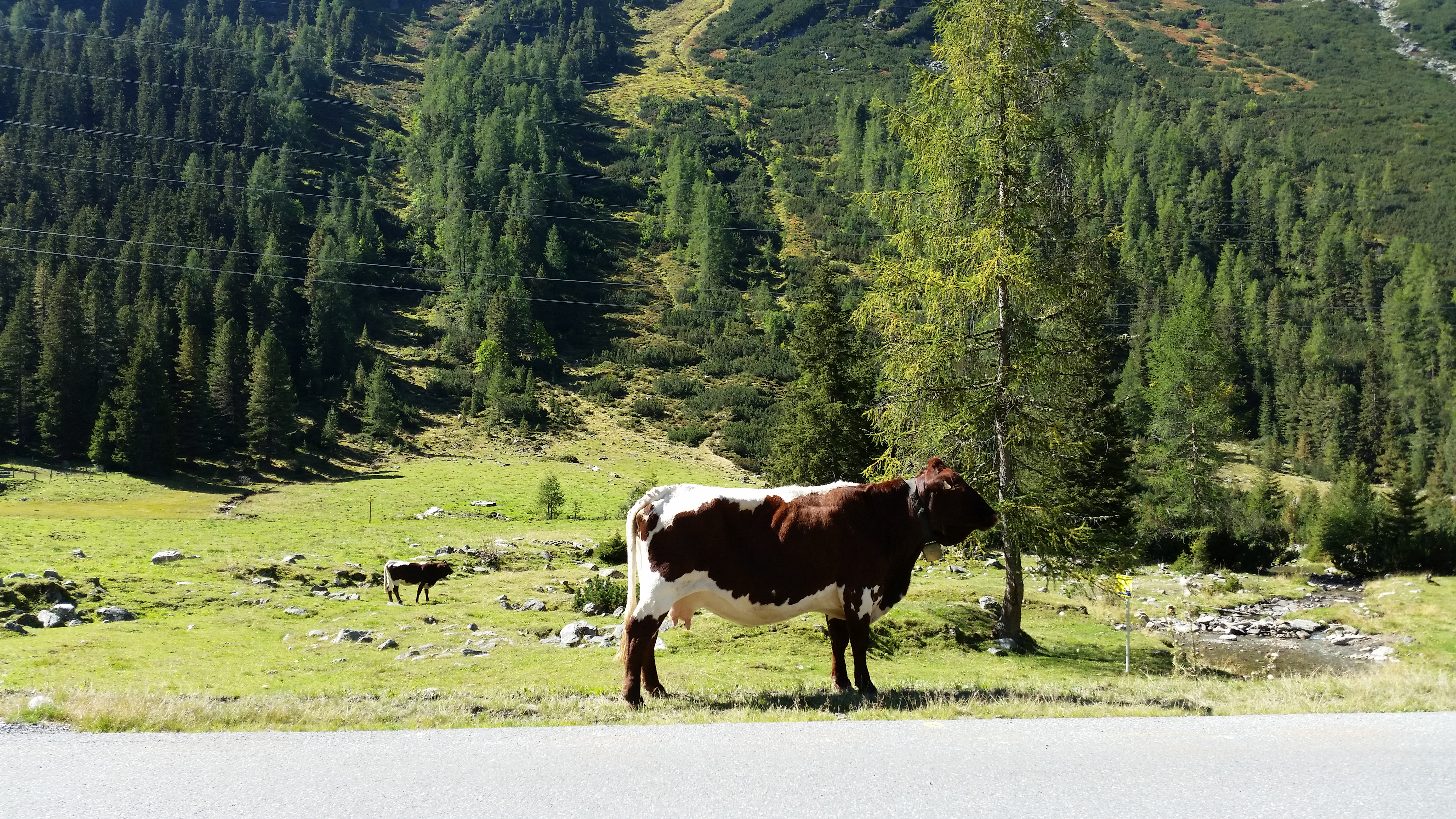 Giro Oeztaler al contrario 342km 6000mt