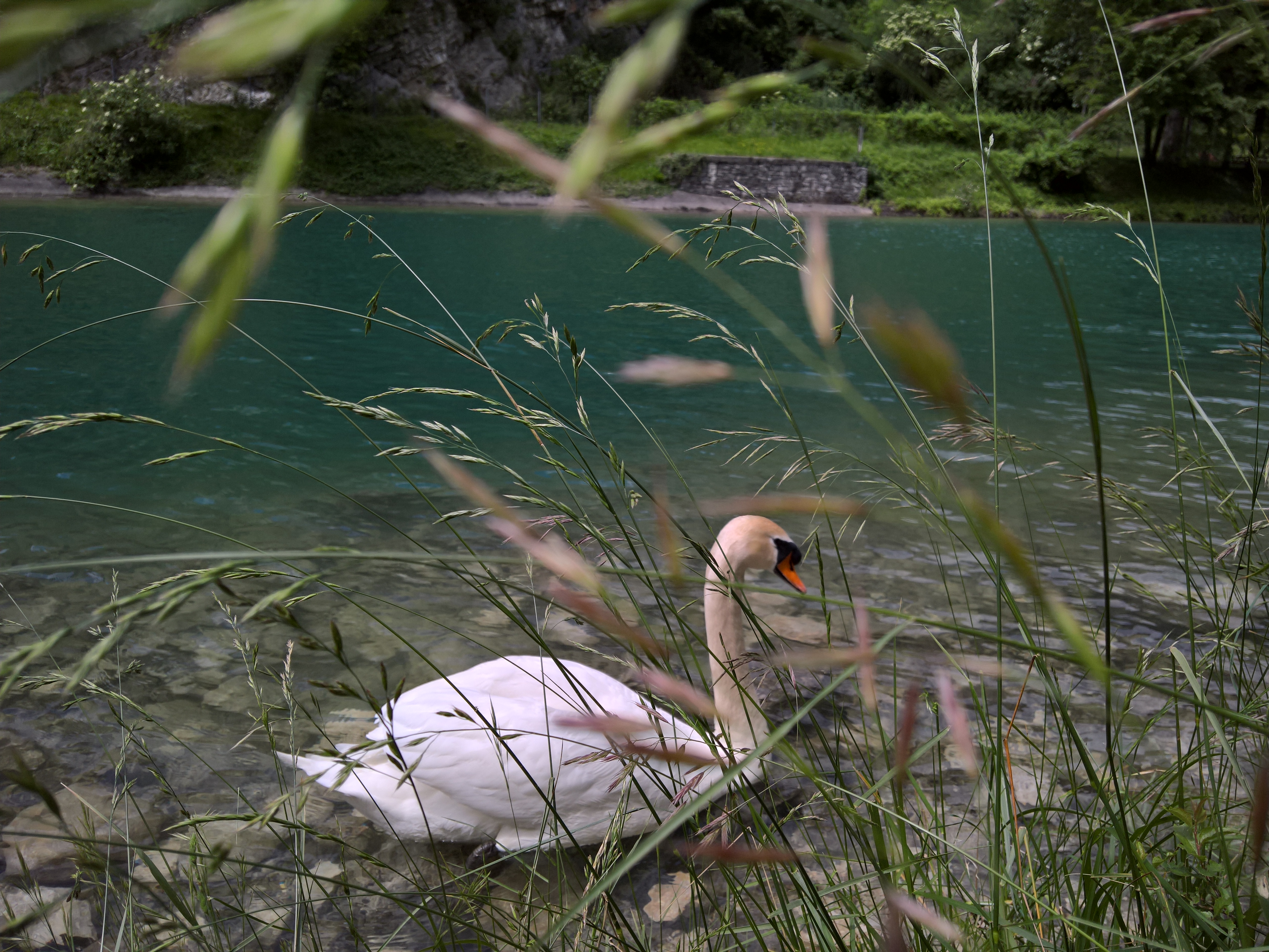lago morto