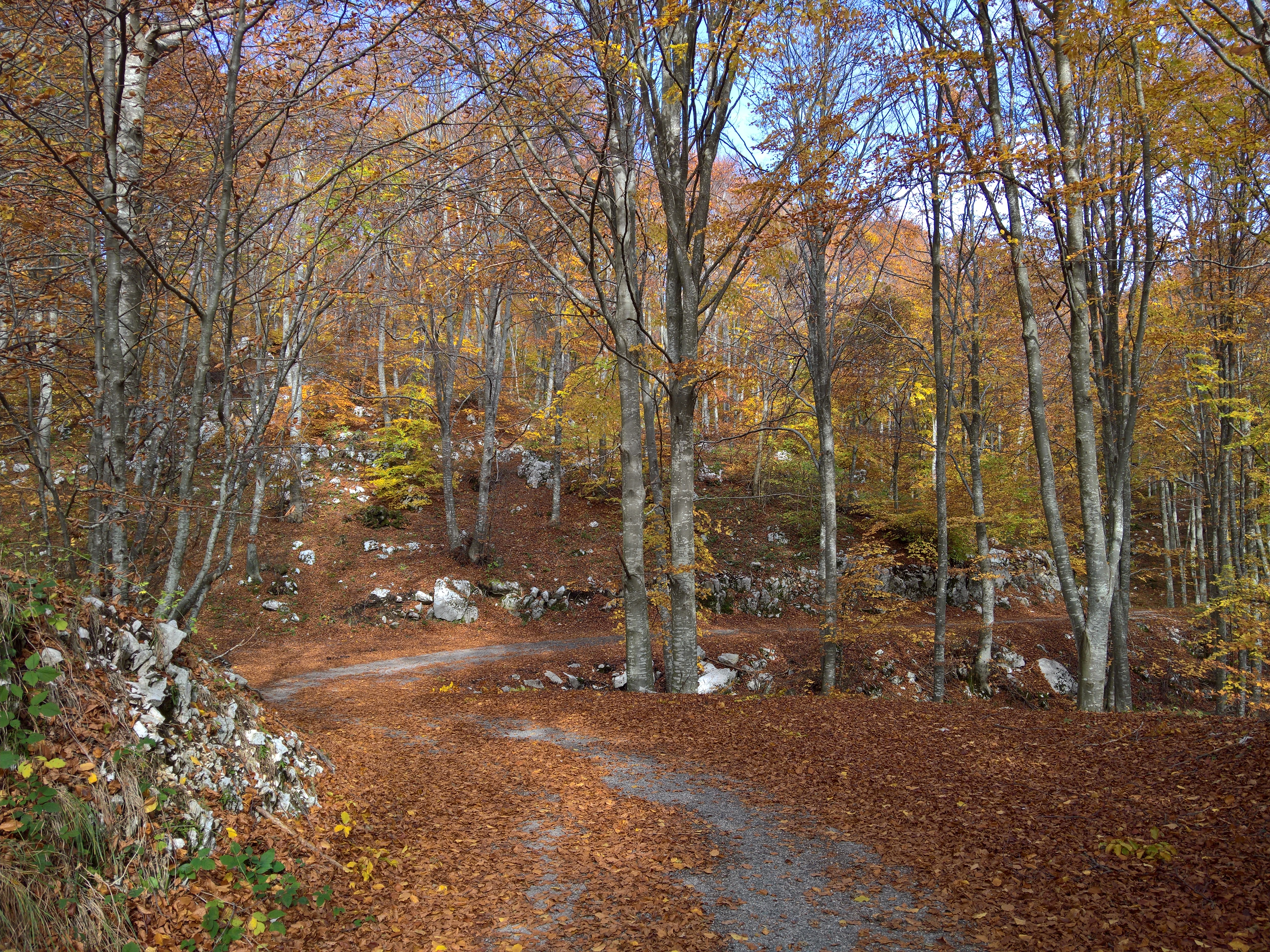 magia d'autunno