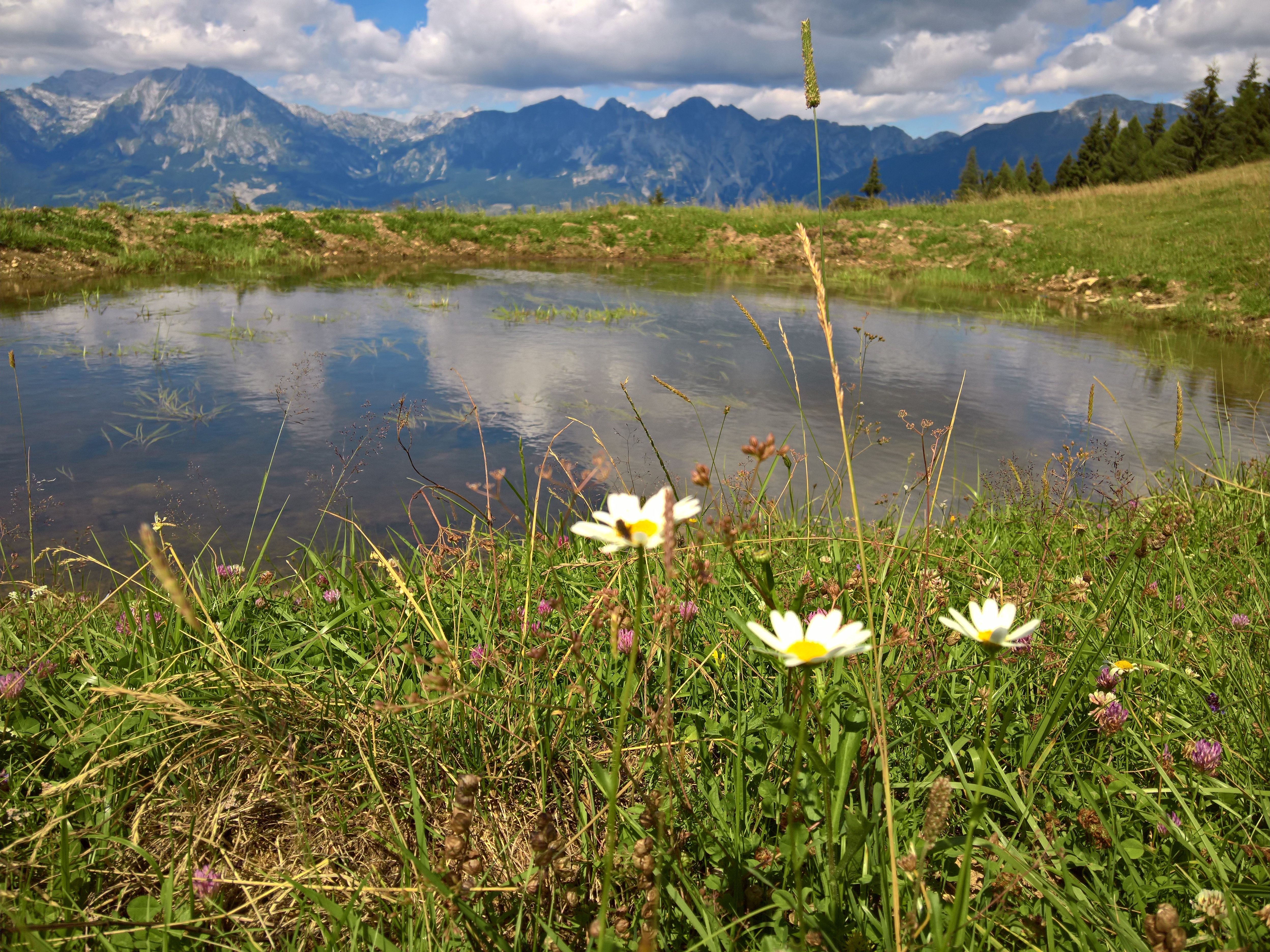 Malga Mezzomiglio