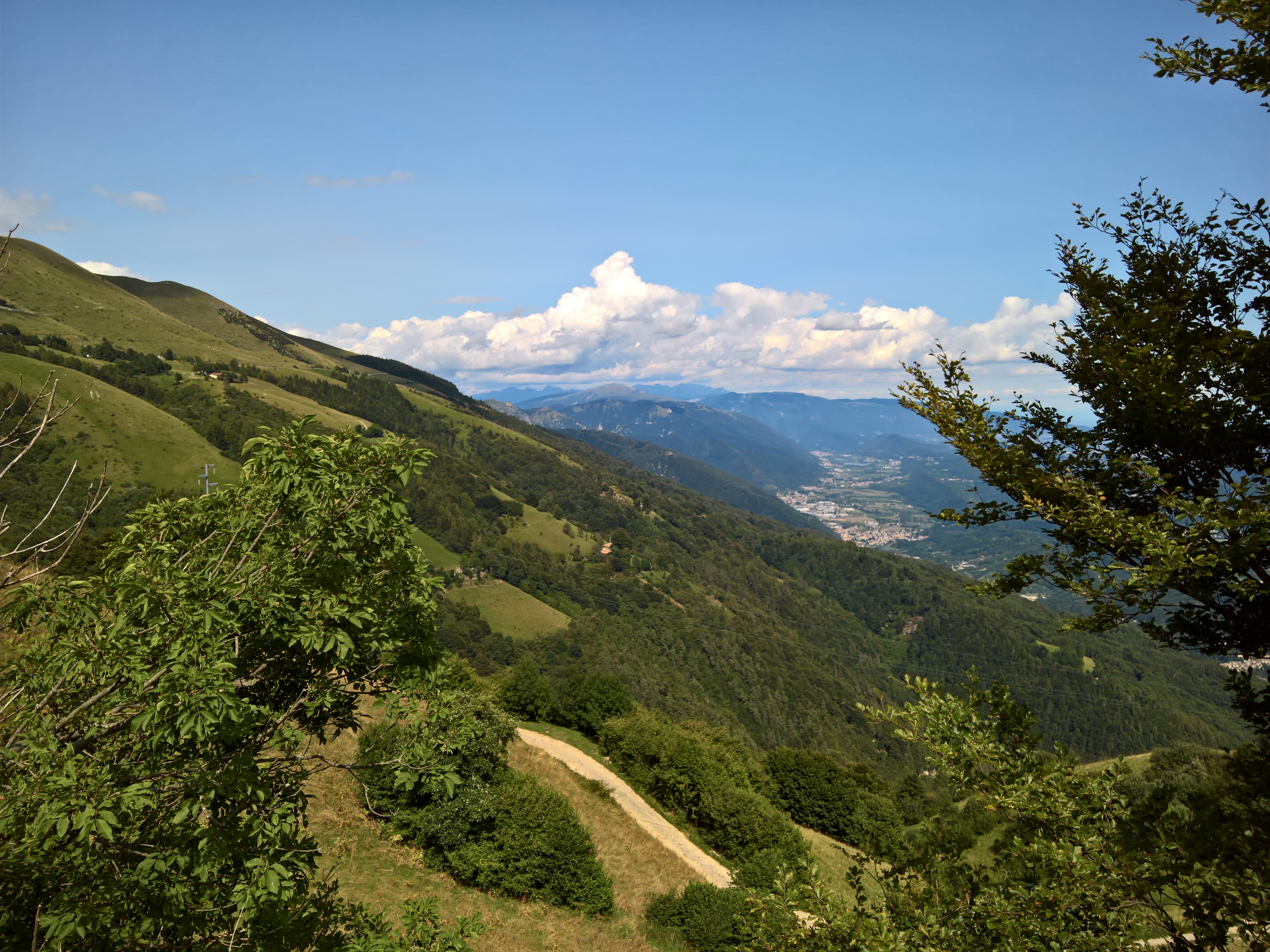 Monte Cesen