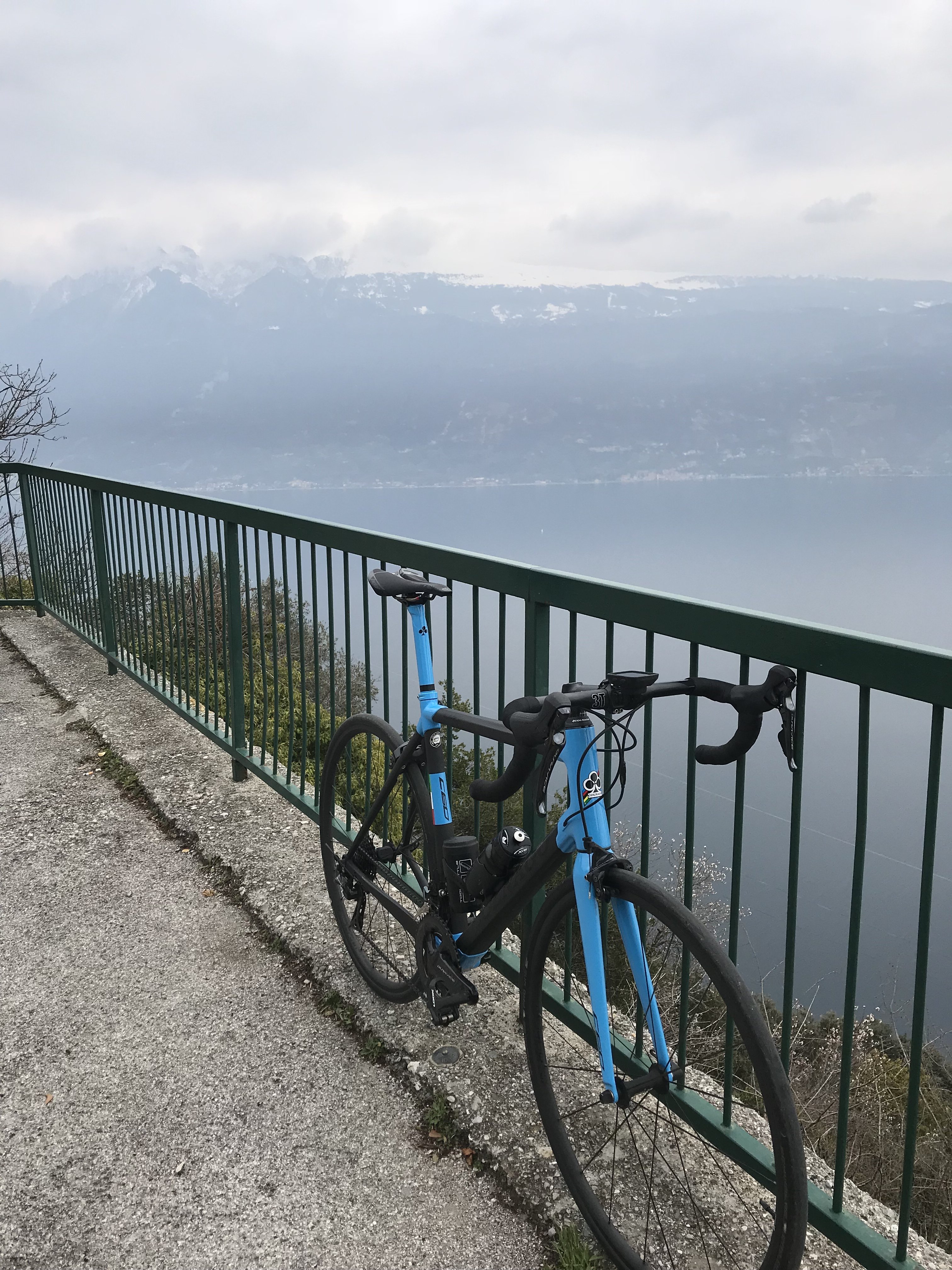 Muslone Lago di Garda