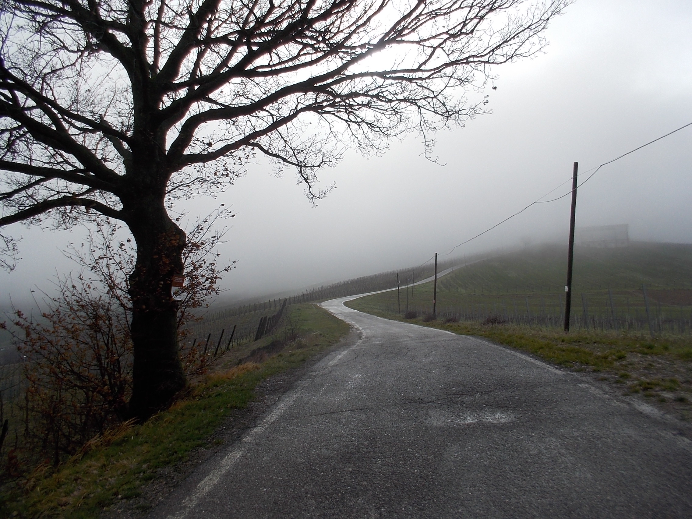 Solitario come il ciclista