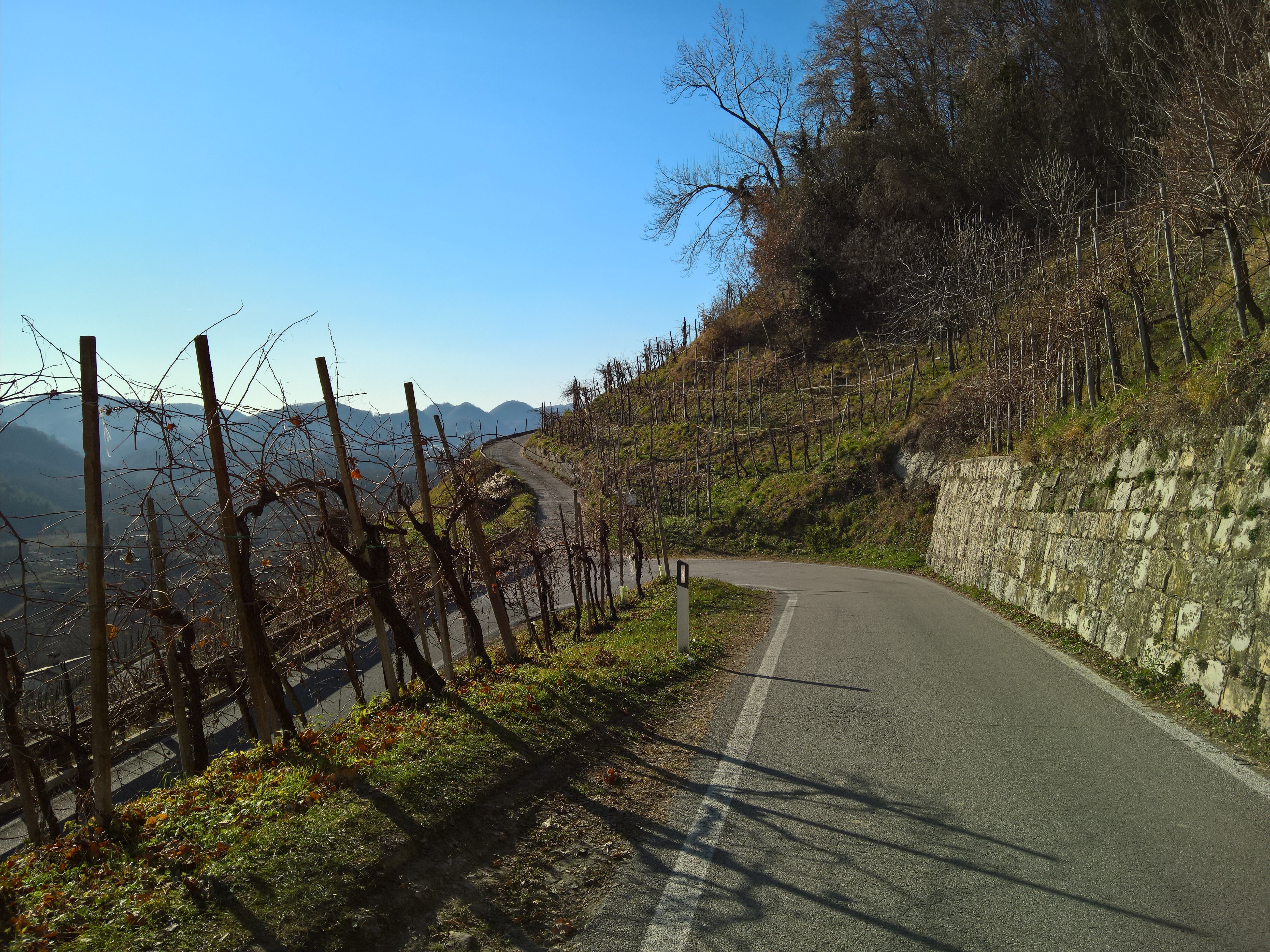 Strada del Prosecco