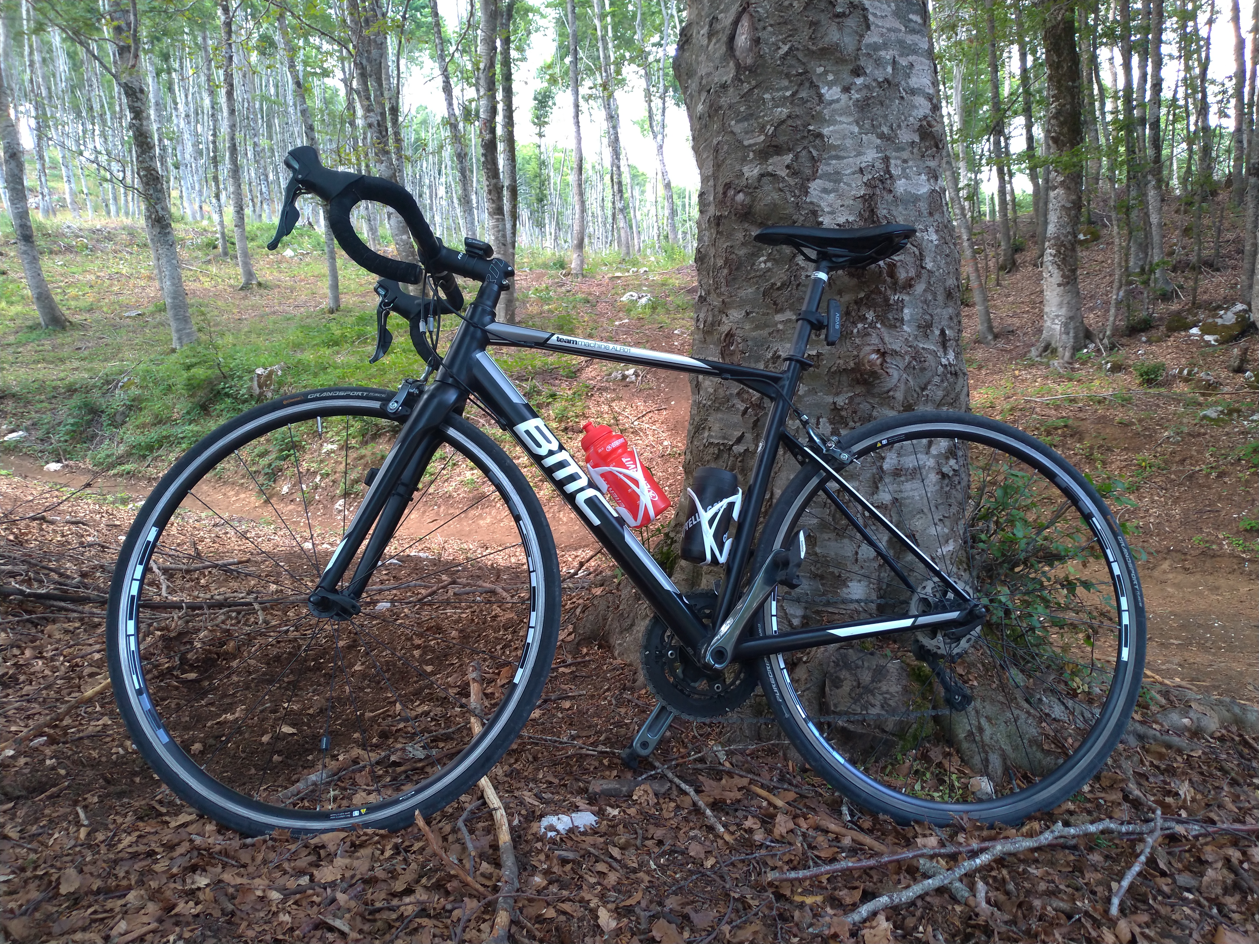 Una Bmc e un faggio......