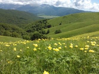 Veduta dal Pizzoc